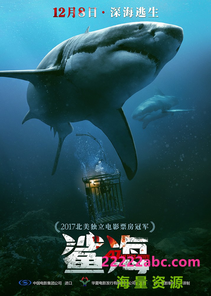 《鲨海》1080p|4k高清