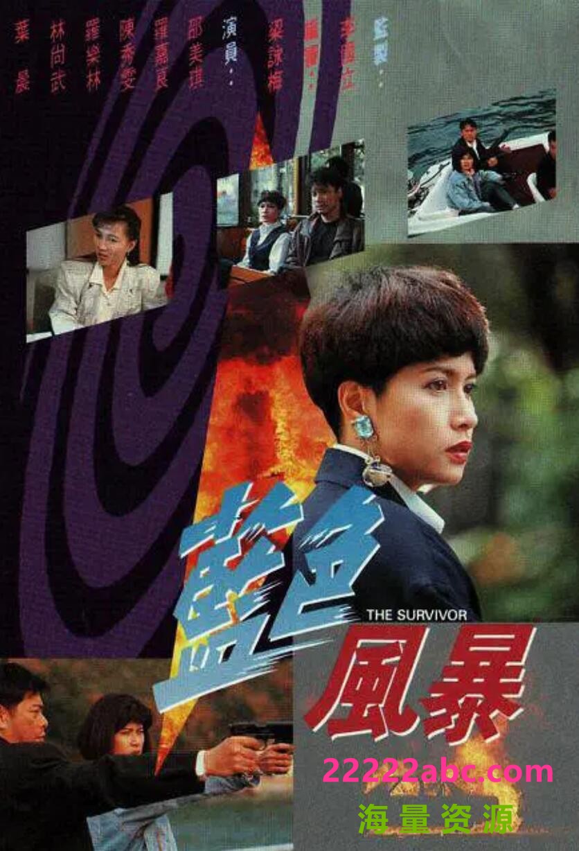 [电视剧][香港/TVB/1991]蓝色风暴 [20集全/每集约280MB][粤语]1080p|4k高清