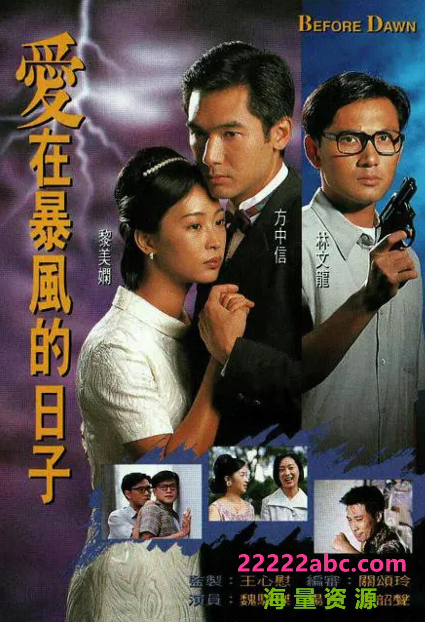 [电视剧][爱在暴风的日子][GOTV源码TS][720P高清/16.49G/每集850M]1995年[国语无字幕][网盘资源下载]1080p|4k高清