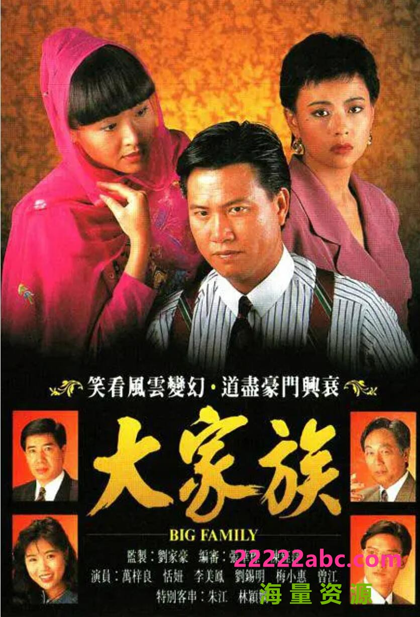 [电视剧][香港/TVB/1991][大家族][GOTV源码/30集全/每集约800M][粤语无字][ts][ 万梓良，恬妞，李美凤][百度网盘]1080p|4k高清