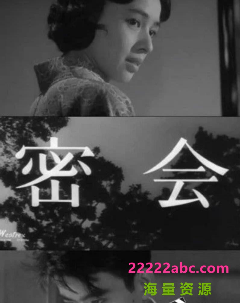 1959日本悬疑《密会》DVDRip.日语中字1080p|4k高清