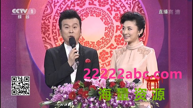 [电视剧][2015][内地]《CCTV2015中国谜语大会第二季》 3期全[HD_8.5G]|综艺节目|下载|1080p|4k高清