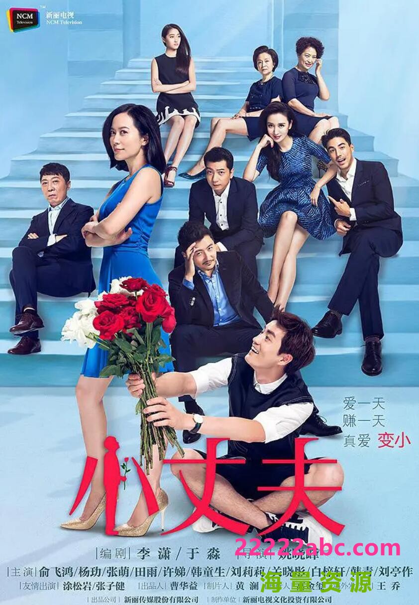 [电视剧][小丈夫][网盘资源下载][2016年][HDTV][高清MKV/720P/68.8G/每集1.7G][俞飞鸿/杨玏/张萌/田雨][国语中字幕]1080p|4k高清