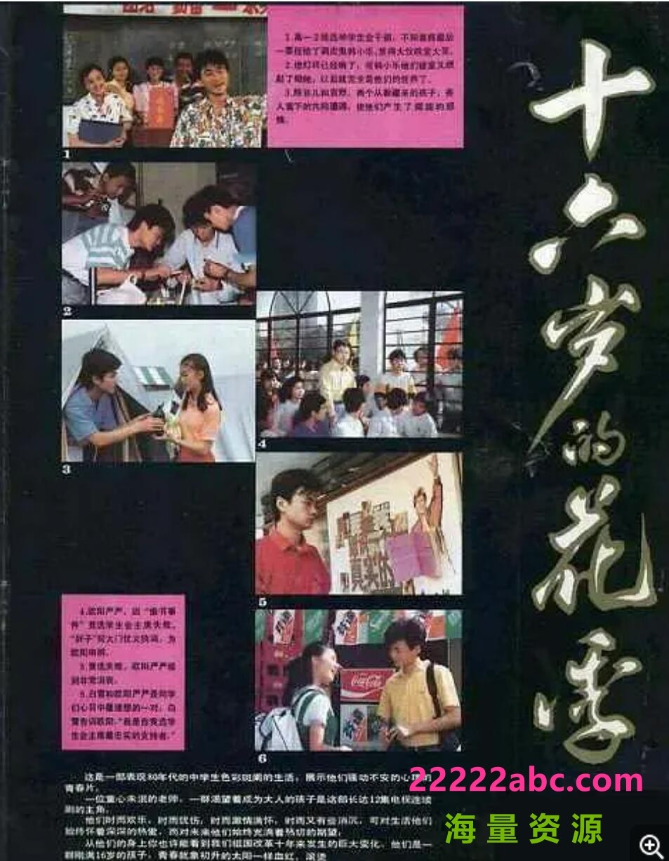 [电视剧][1989年][十六岁的花季][国语无字珍藏版][12集全][RMVB/每集约150M]1080p|4k高清