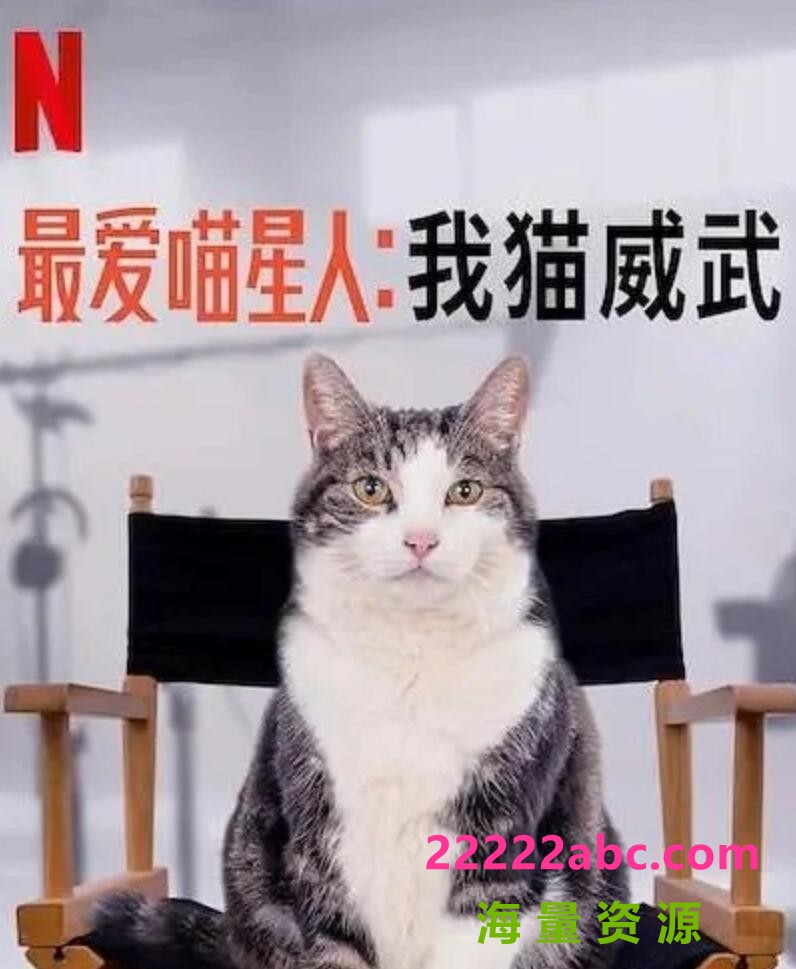 2021纪录片《最爱喵星人：我猫威武》HD1080P.中文字幕1080p|4k高清