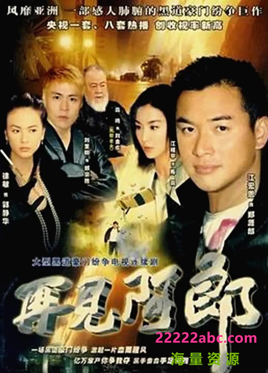 [电视剧][再见阿郎][720P高清MP4/95G/每集600M][2003年][台语字幕][江宏恩/徐敏/江祖平][网盘资源下载]1080p|4k高清