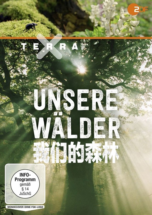 [电视剧][我们的森林 Unsere Wälder 第一季][全03集]1080p|4k高清