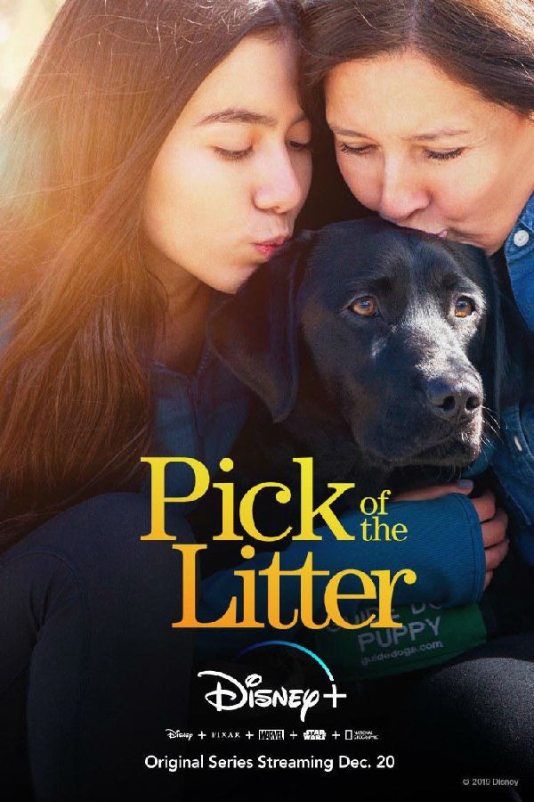 [电视剧][崽之抉择 Pick of the Litter 第一季][全06集]1080p|4k高清