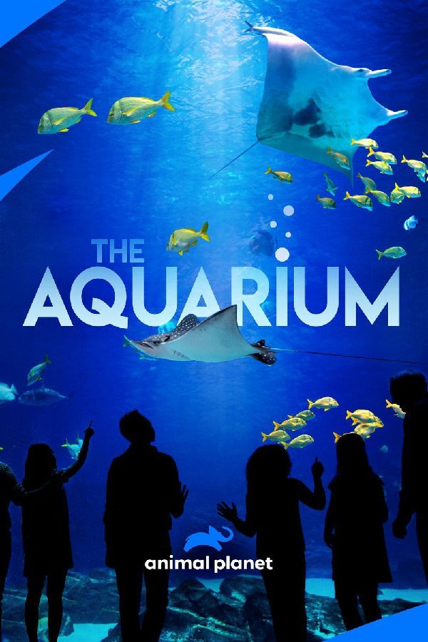 [电视剧简介][水族馆/The Aquarium 第二季][全集]