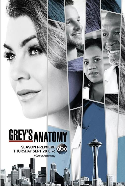 [电视剧][实习医生格蕾/Greys Anatomy 第十四季][全24集]1080p|4k高清