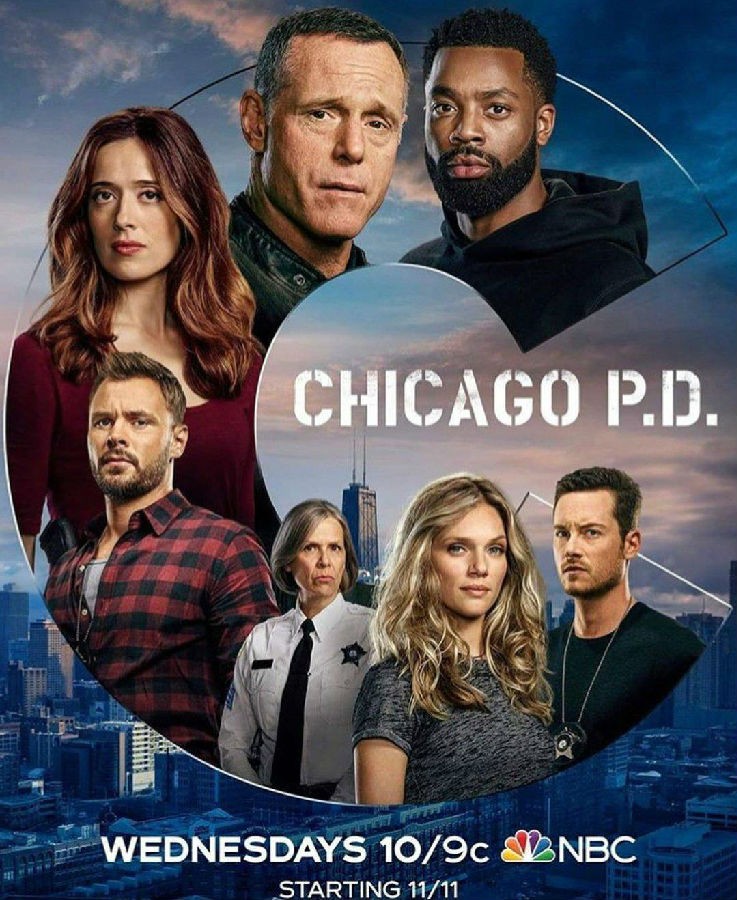 [电视剧][芝加哥警署/芝加哥警局 Chicago PD 第八季][全集]1080p|4k高清