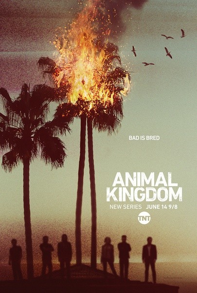 [电视剧][动物王国/野兽家族/Animal Kingdom 第一季][全10集]1080p|4k高清