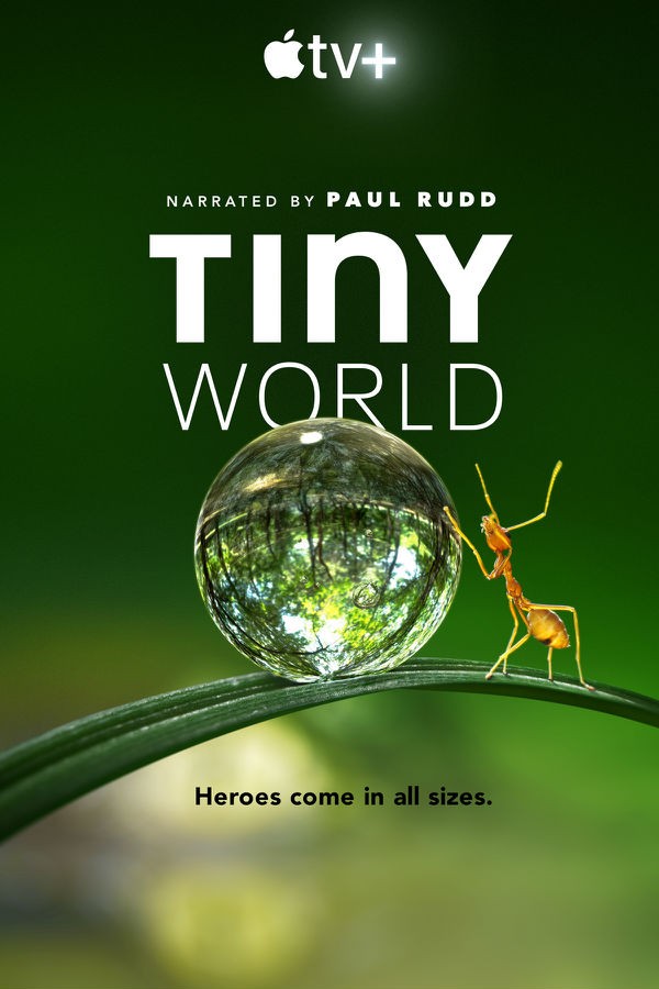 [电视剧简介][小小世界 Tiny World 第一季][全06集]