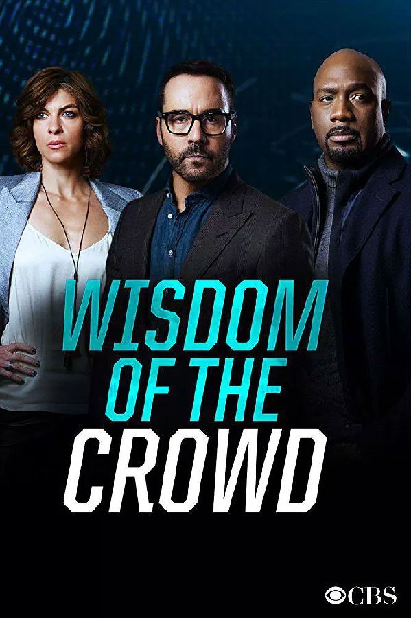 [电视剧][群策群力 Wisdom of the Crowd 第一季][全13集]1080p|4k高清