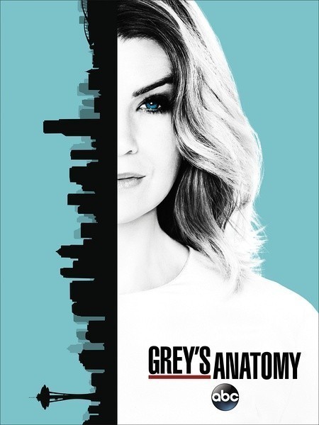 [电视剧][实习医生格蕾/Greys Anatomy 第十三季][全24集]1080p|4k高清