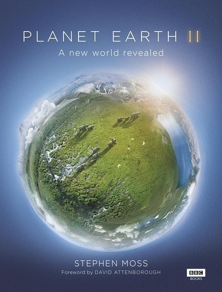 [电视剧][地球脉动/地球无限/行星地球2 Planet Earth 第二季][全06集]1080p|4k高清