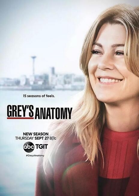 [电视剧][实习医生格蕾/Greys Anatomy 第十五季][全25集]1080p|4k高清