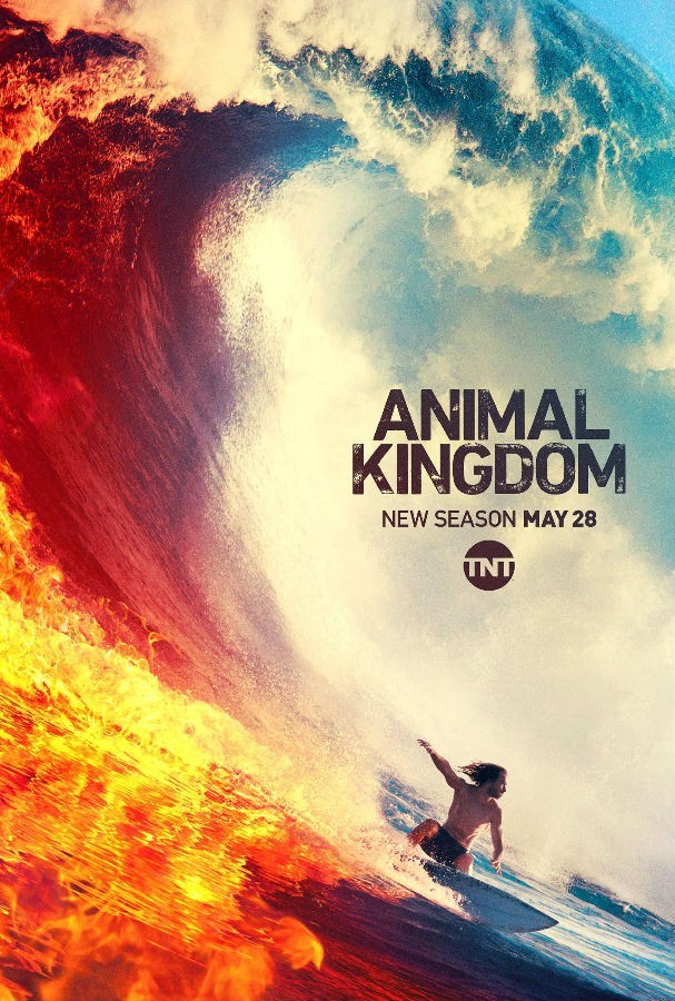 [电视剧][动物王国/野兽家族/Animal Kingdom 第四季][全13集]1080p|4k高清