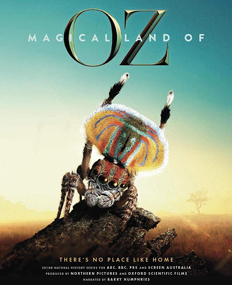 [电视剧][绿野仙澳 Magical Land of Oz 第一季][全03集]1080p|4k高清