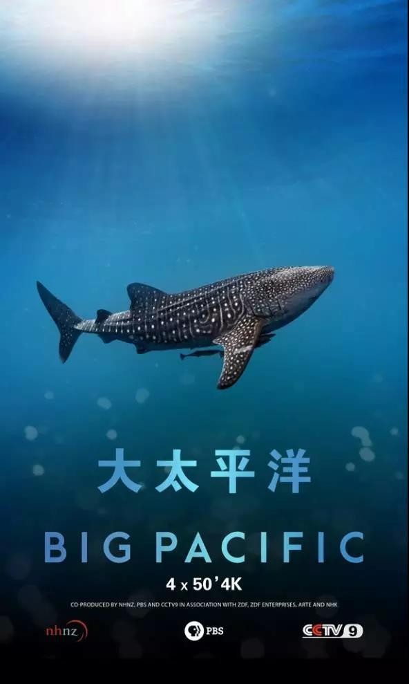[大太平洋/Big Pacific 第一季][英语中字][BD-MKV][2160P][BD+中文字幕]