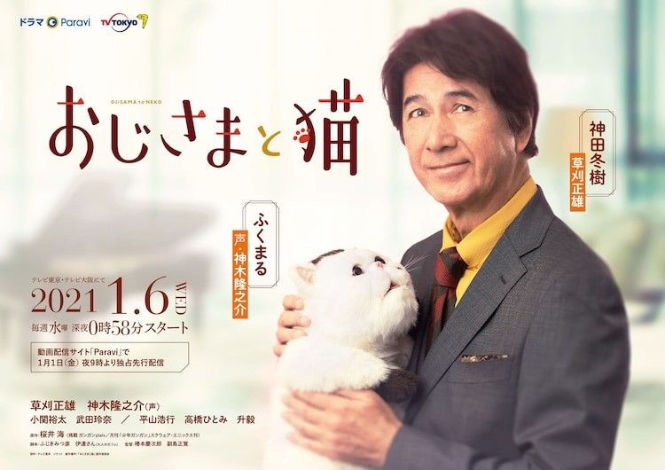 [电视剧][大叔与猫 Ojisama to Neko][全集][日语中字]1080p|4k高清