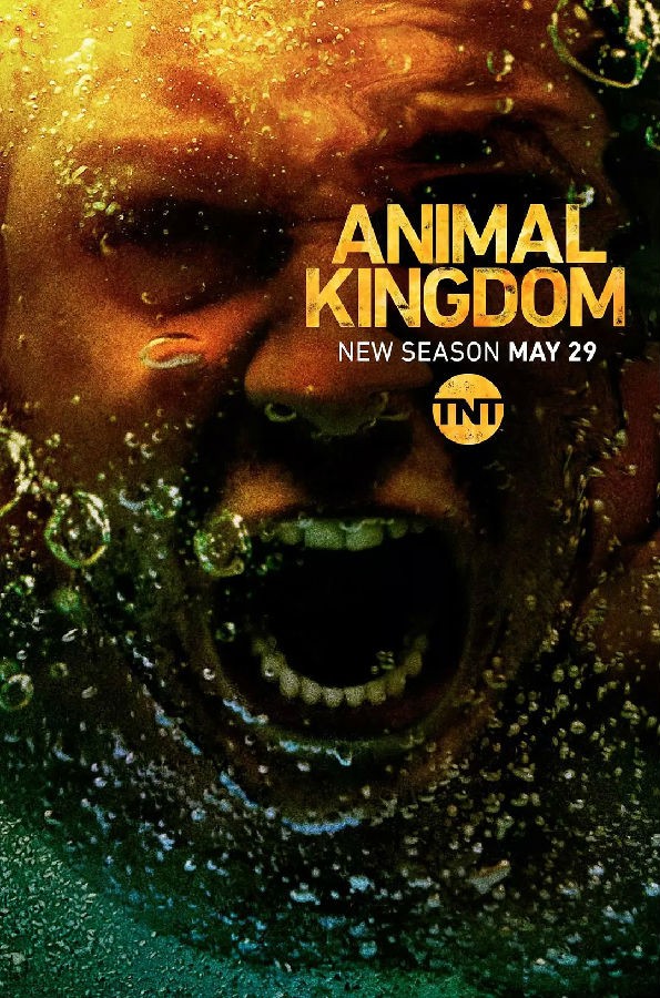 [电视剧][动物王国/野兽家族/Animal Kingdom 第三季][全13集]1080p|4k高清